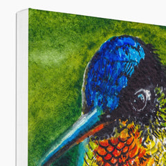 Captivating Hummingbird Portrait Canvas