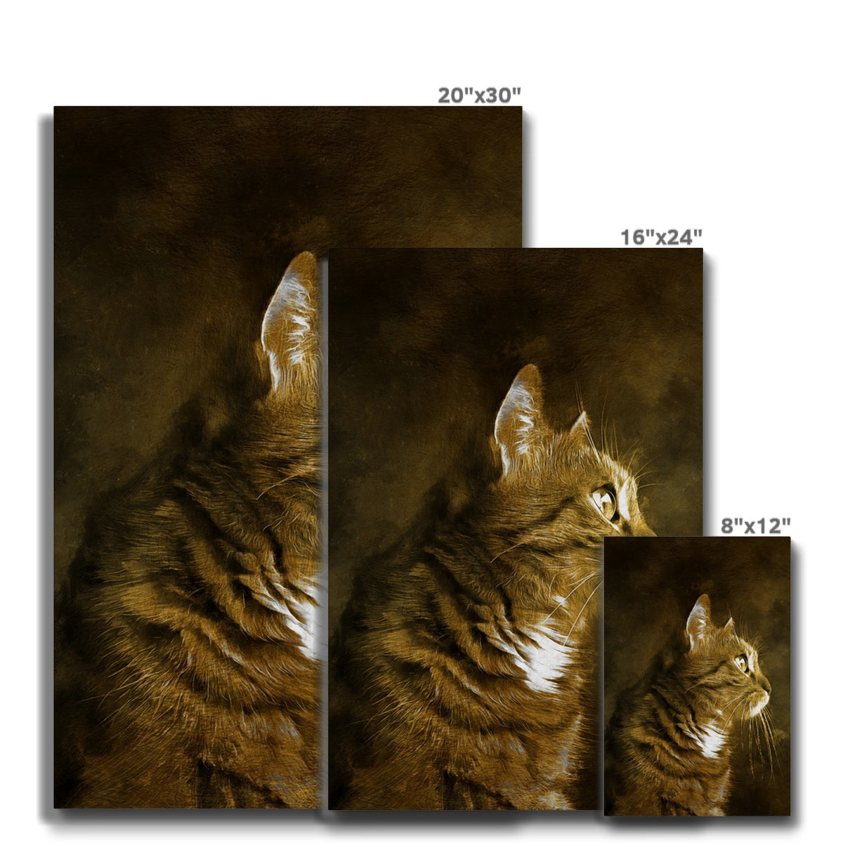 Black & Gold Cat Portrait Canvas