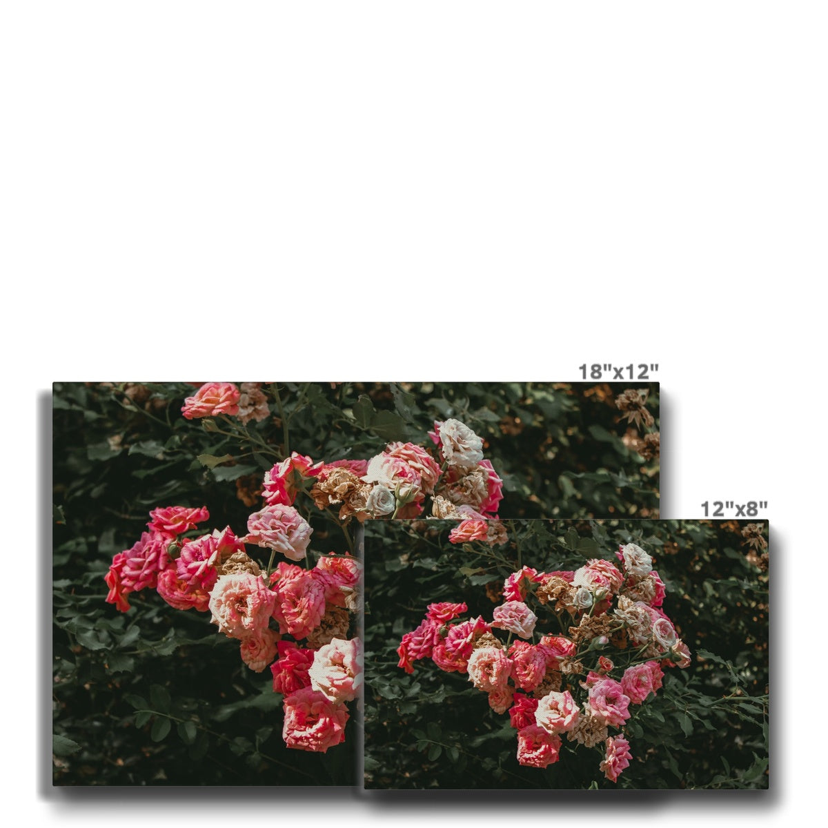 Aesthetic Bunch Of Pink Flowers Canvas