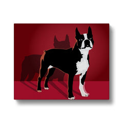 Black & Red Boston Terrier Illustration Canvas