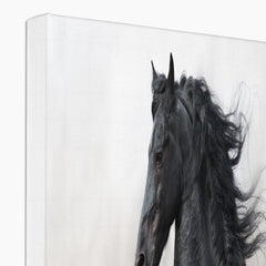 Black Horse Oil Portrait Canvas