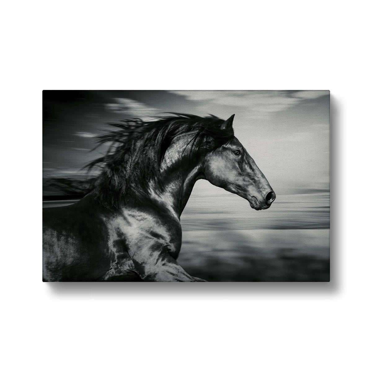 Striking Black Horse Painting Canvas