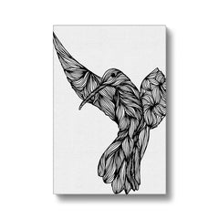 Black & White Hummingbird Portrait Canvas