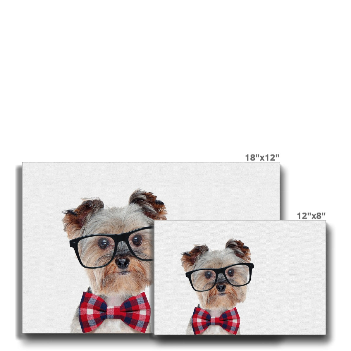 Adorable Animal Puppy Art Canvas