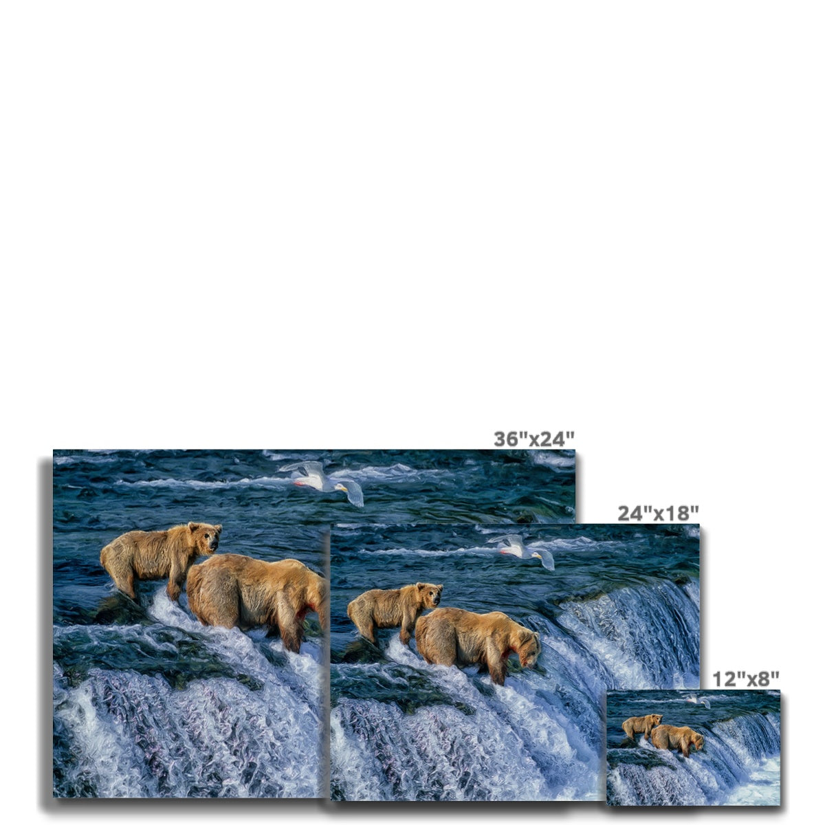 Grizzly Bear In Water Art Canvas