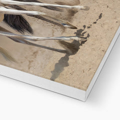 White ٴ & Black Horse Picture Canvas