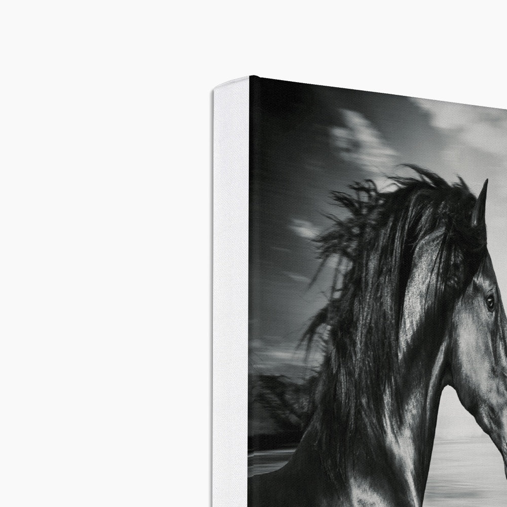 Striking Black Horse Painting Canvas