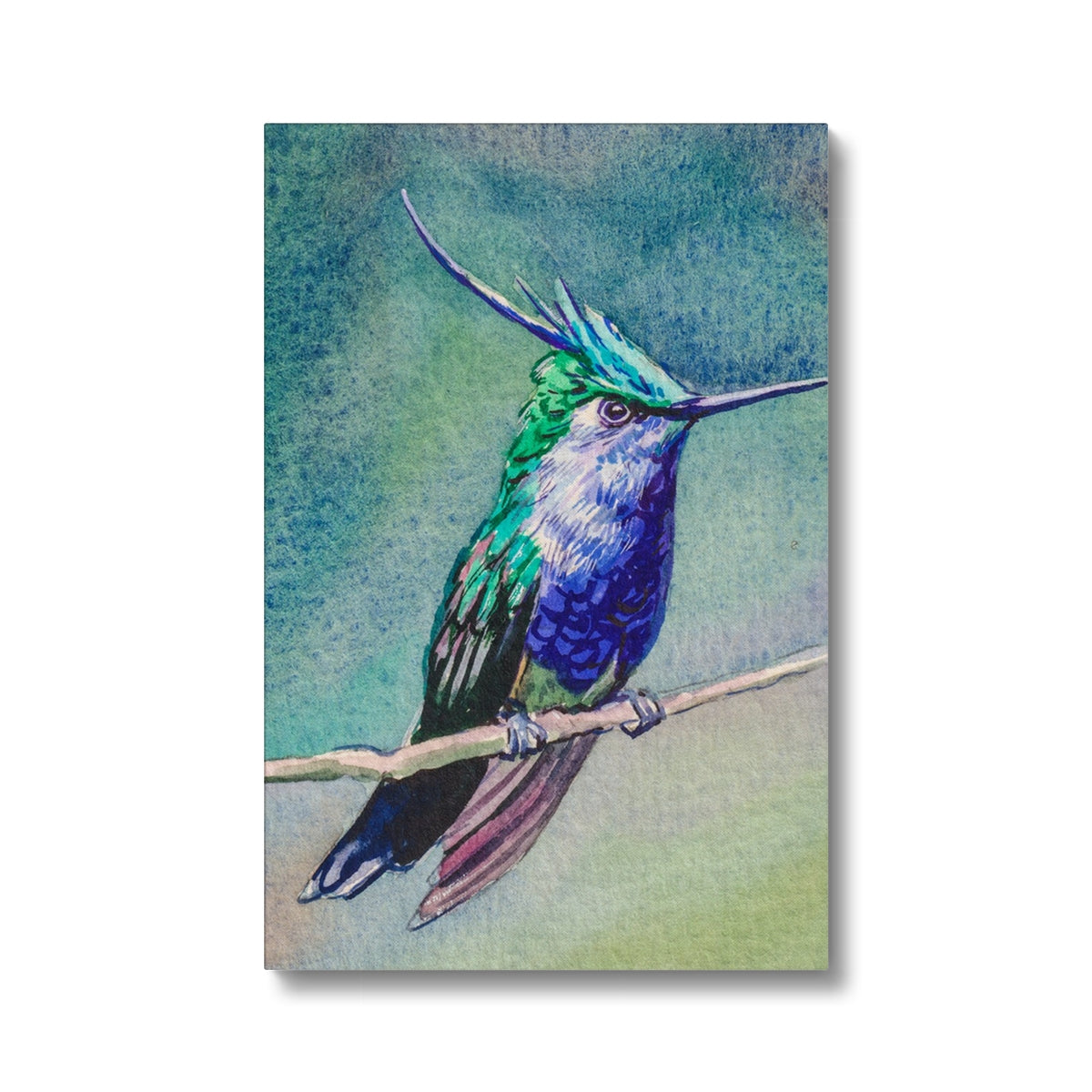 Hummingbird On Branch Canvas