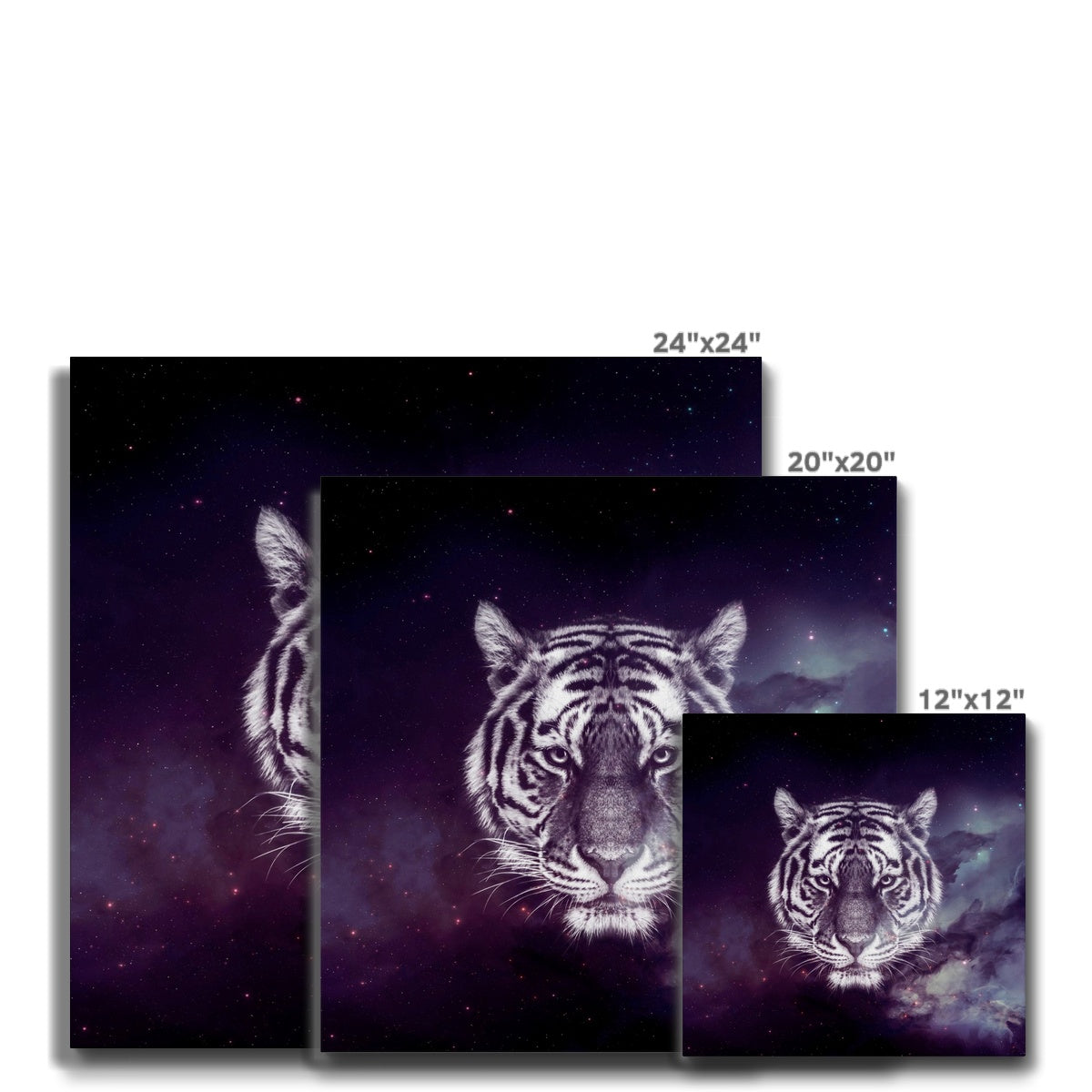 Black Galaxy Tiger Wall Art Canvas