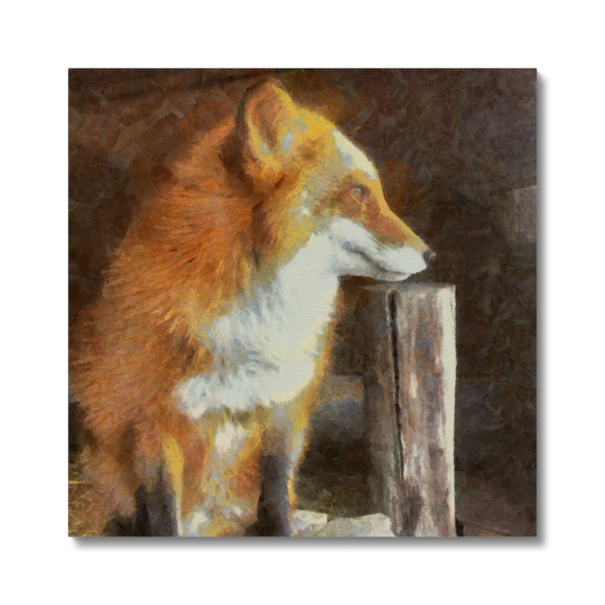 Fox Side Portrait Canvas