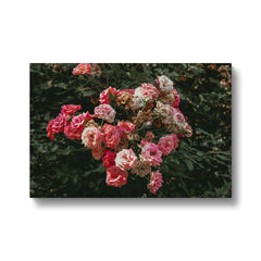 Aesthetic Bunch Of Pink Flowers Canvas