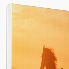 Horse & Golden Hour Canvas