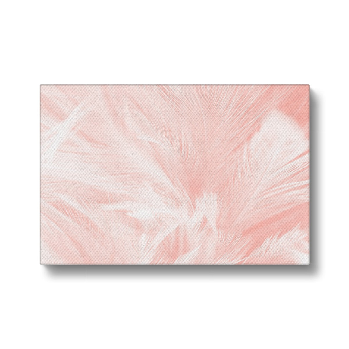 Pink Feathers Abstract Art Canvas