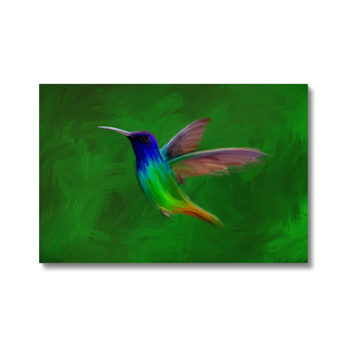Colorful Flying Hummingbird Canvas