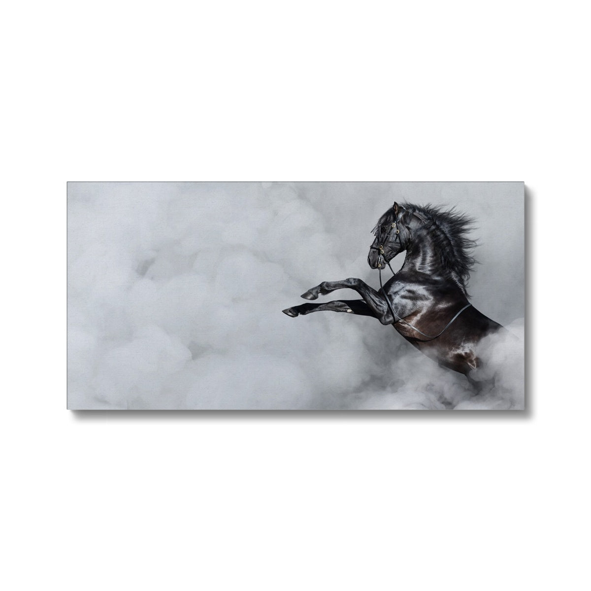 Black Horse & Clouds Canvas