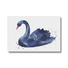 Black Swan Watercolor Painting Canvas