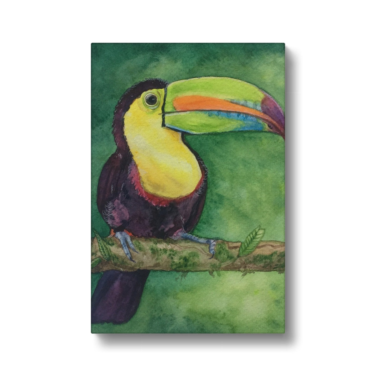 Delightful Toucan Oil Portrait Canvas