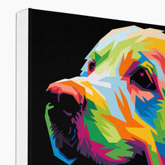 Multicolor Retriever Portrait Canvas