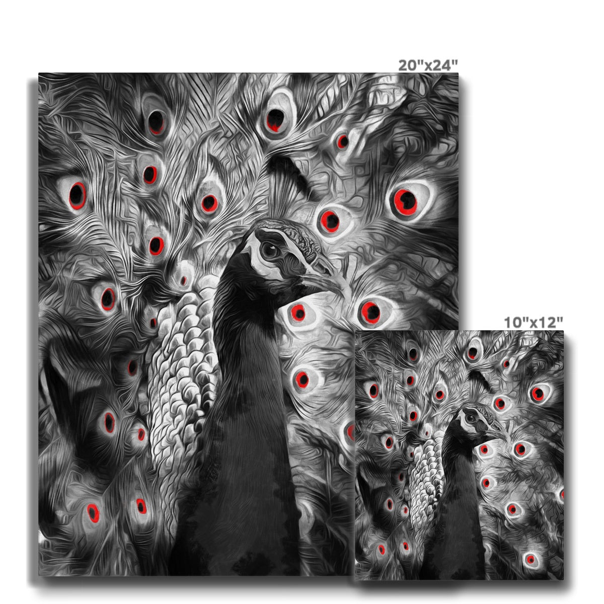 Greyscale Peacock Painting Canvas