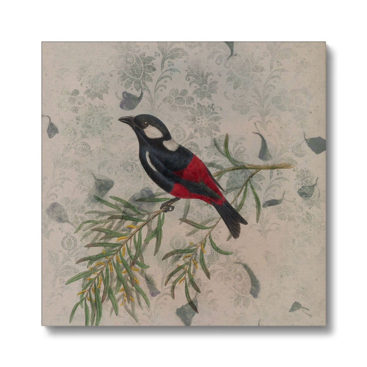 Red & Black Sparrow Canvas