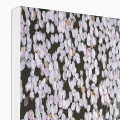 Pink Flower Petals Canvas