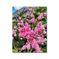 Aesthetic Little Pink Flowers Canvas