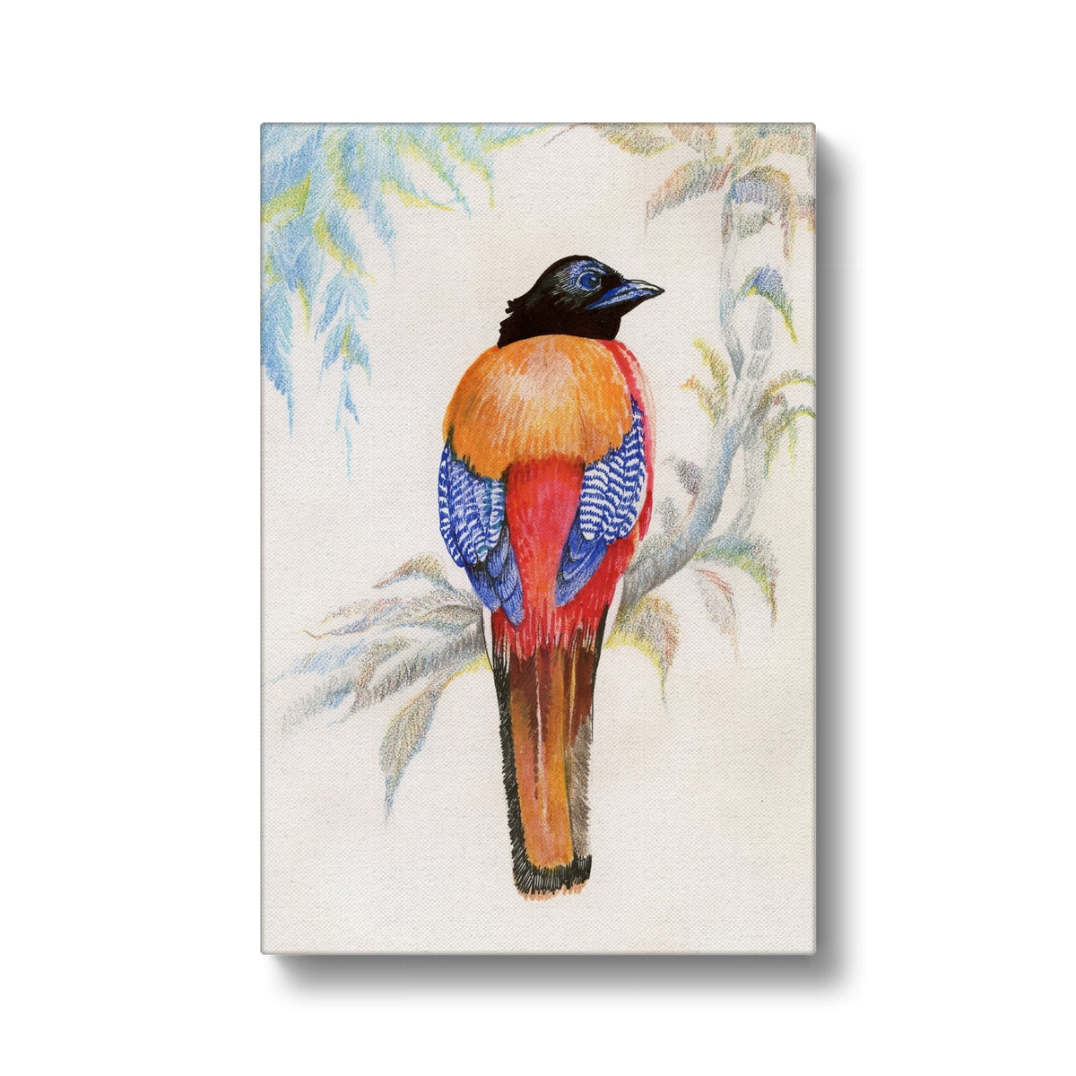 Colorfull Sparrow On The Branch Canvas