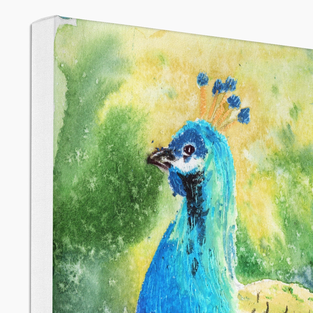 Charming Peacock Oil Portrait Canvas