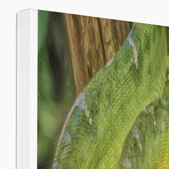 Emerald Tree Snake Canvas