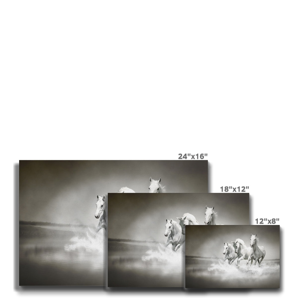 Three White Horses Canvas