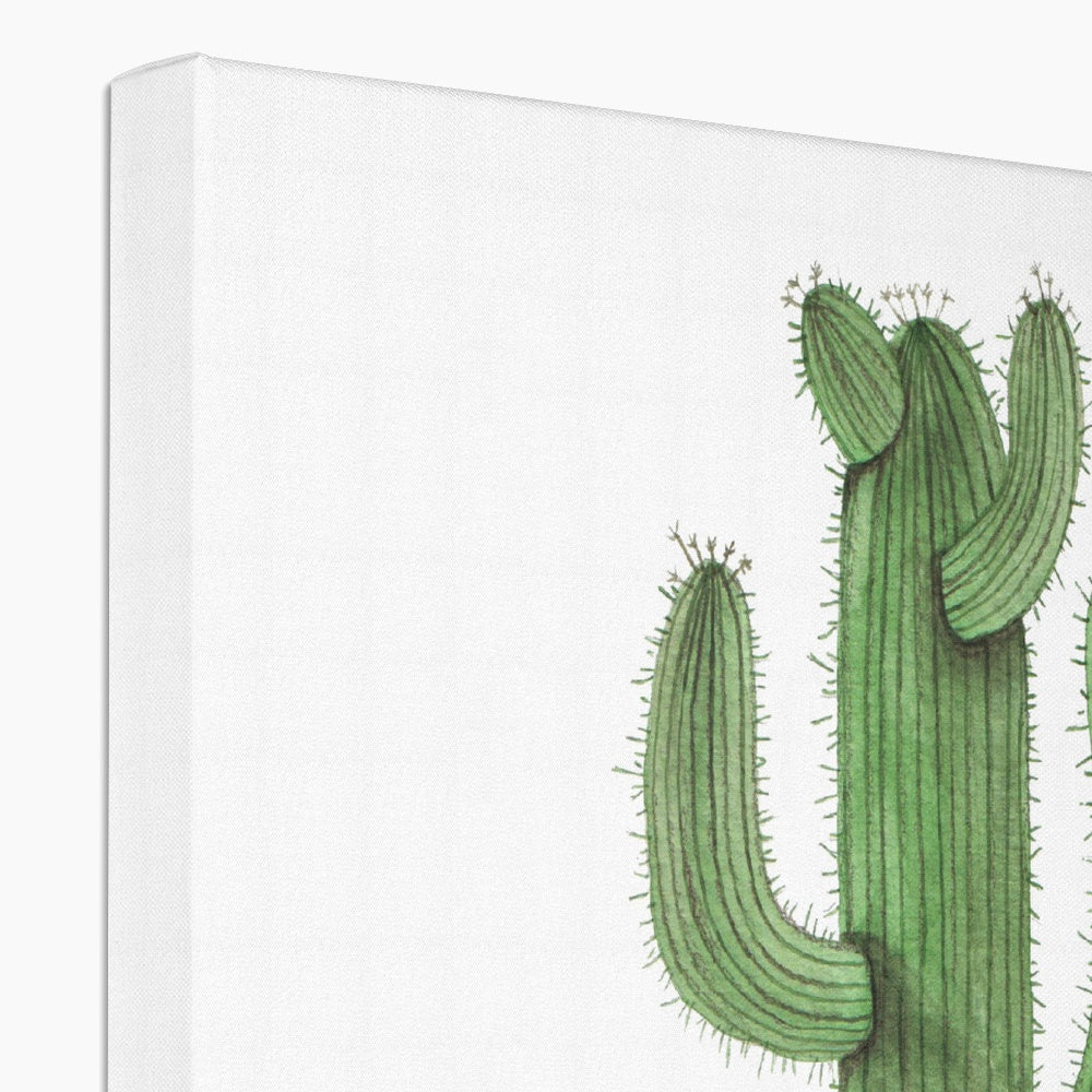 Impressive Illustration Of Cacti Canvas