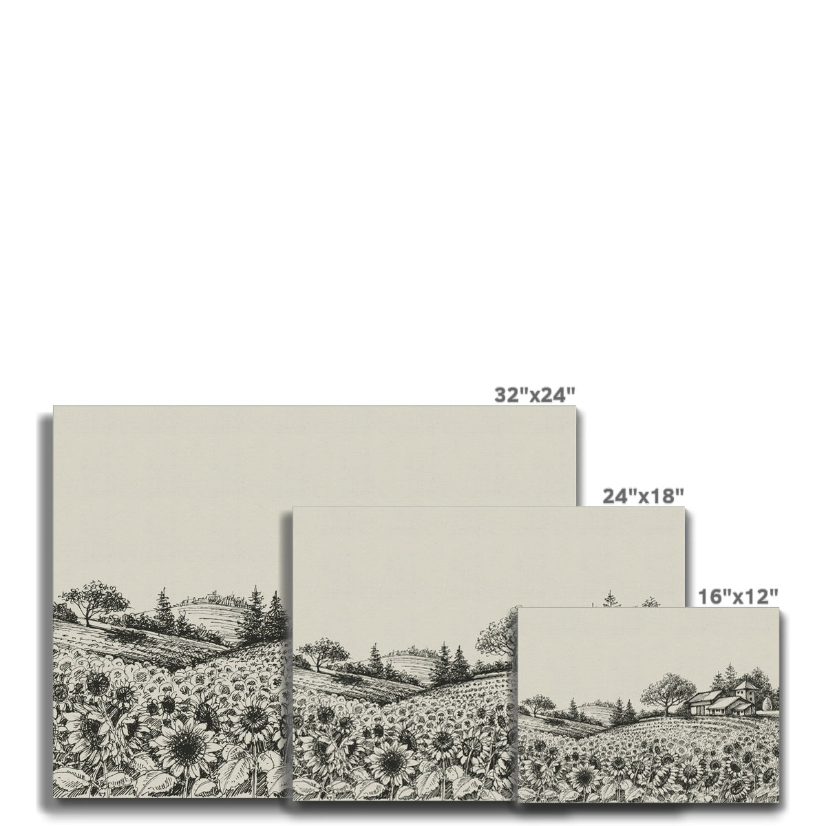 Grayscale Sunflowers Field Canvas