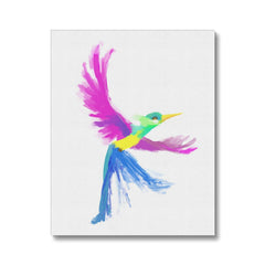 Multicolor Flying Hummingbird Canvas