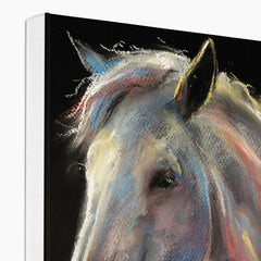 Magnificent Horse Portrait Canvas