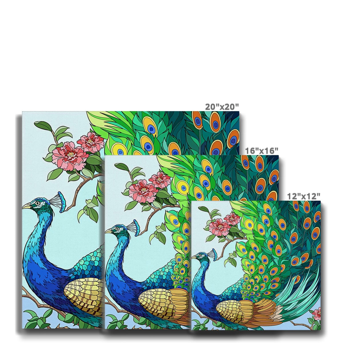 Adorable Peacock Illustration Canvas