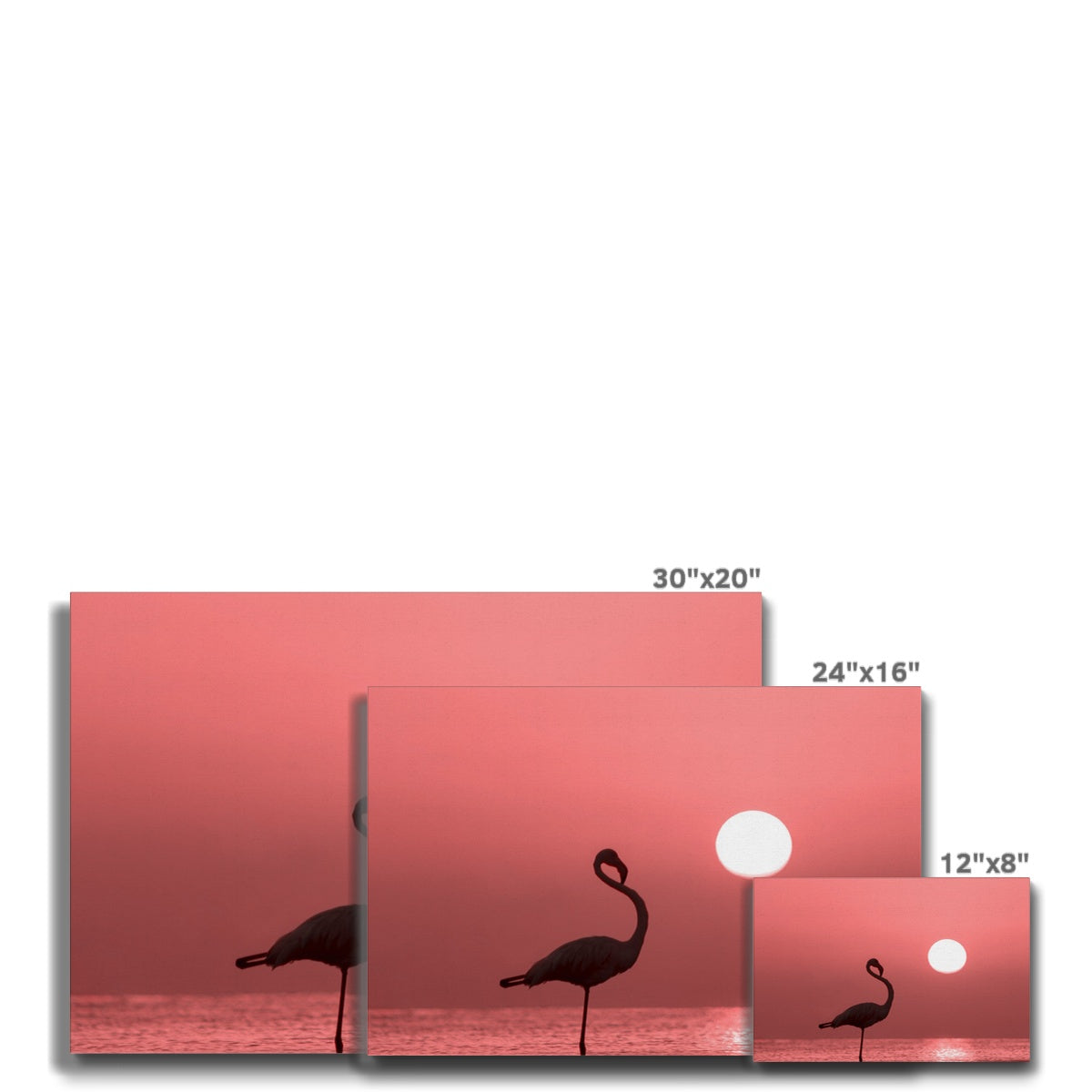 Flamingo & Pink Sky Canvas