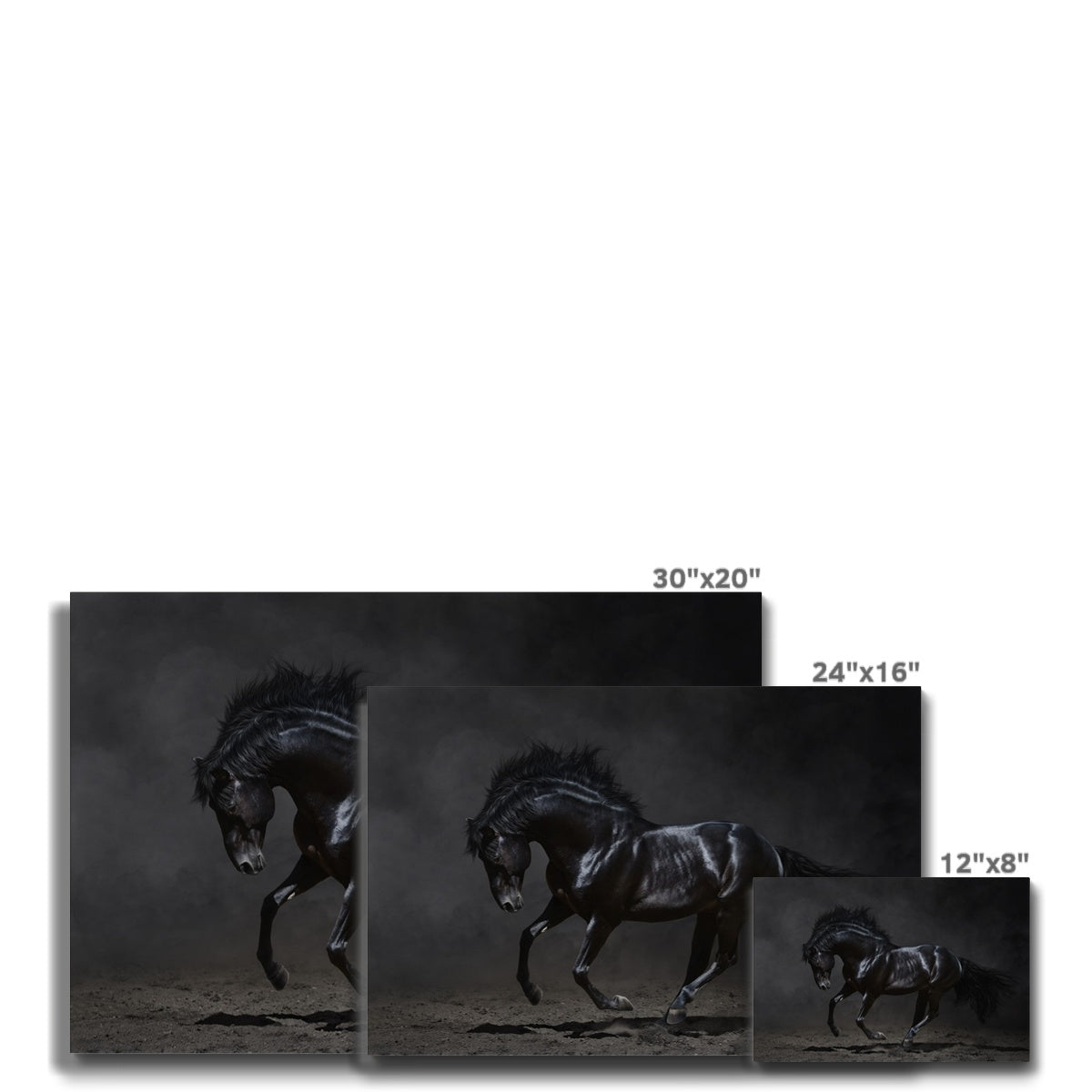 Ethereal Black Horse Portrait Canvas