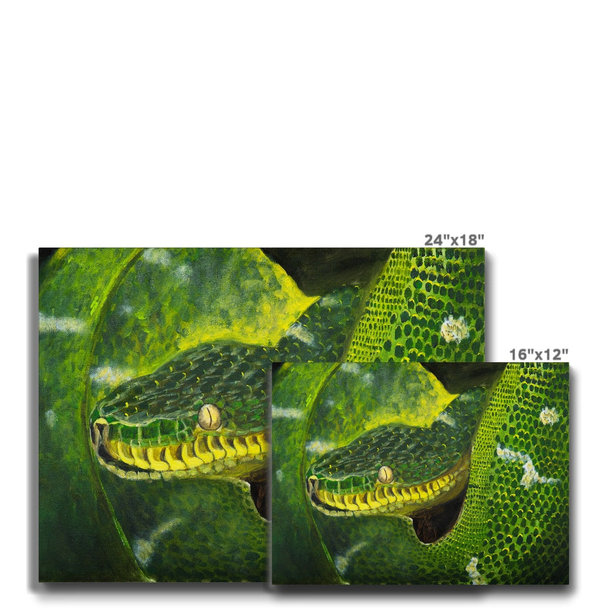 Green Majestic Snake Canvas