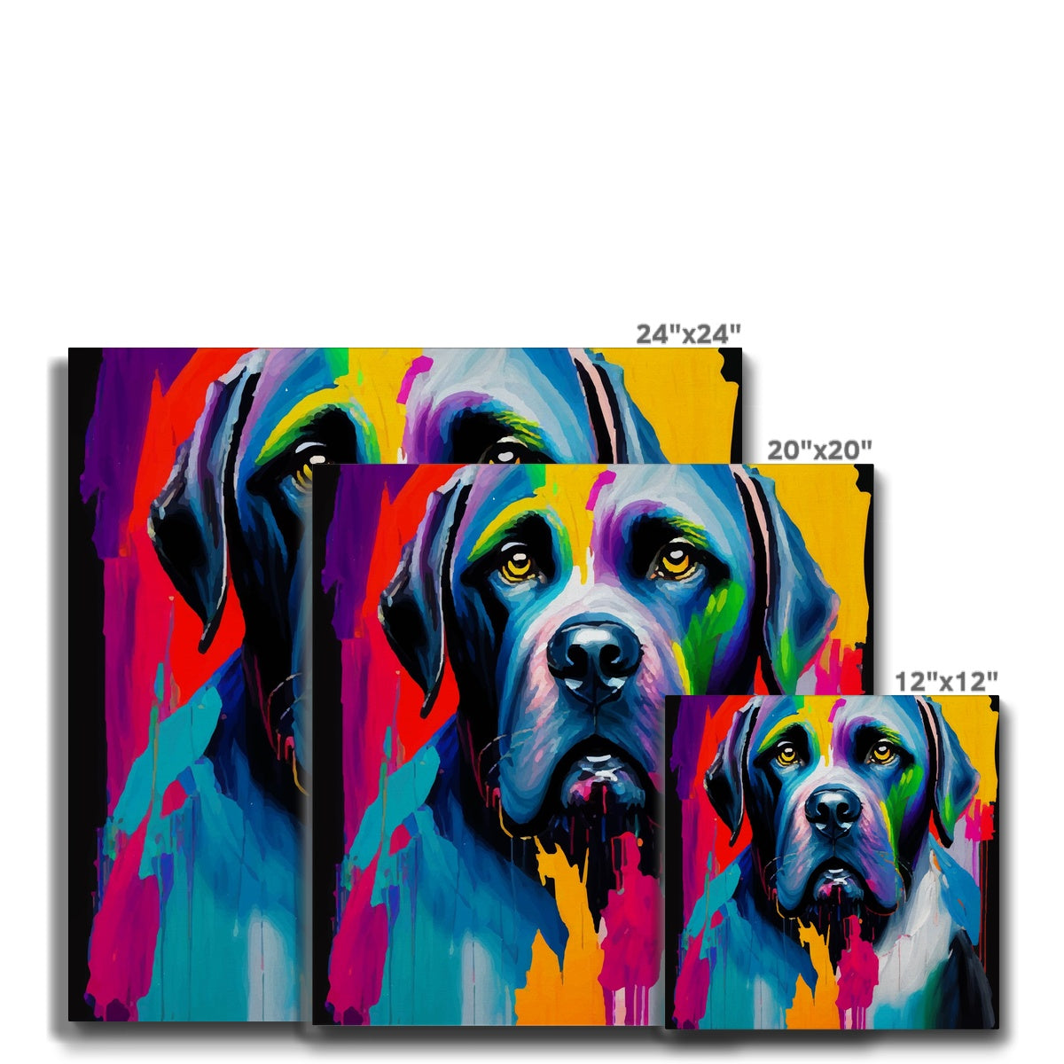 Flamboyant Dog Painting Canvas