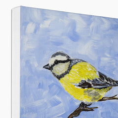 Yellow & White Sparrow Canvas