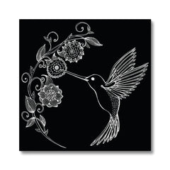 Black & White Hummingbird Illustration Canvas