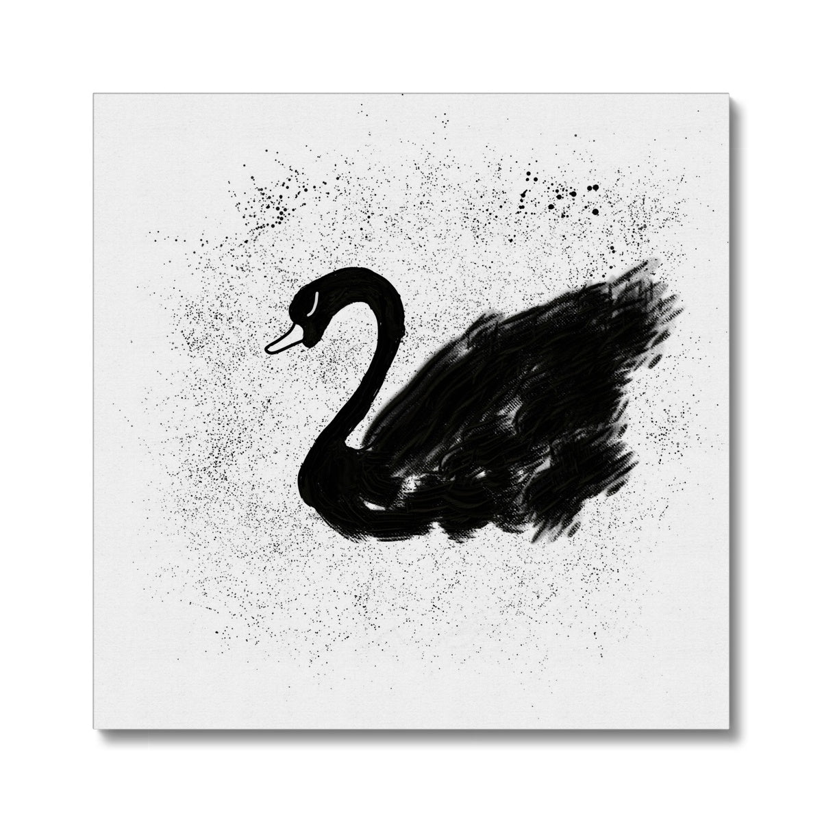 Black & White Swan Sketch Canvas