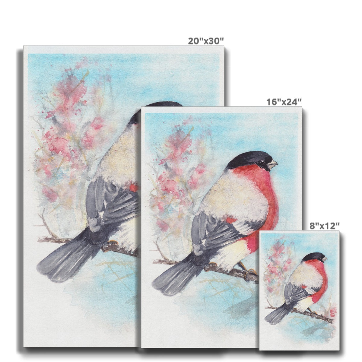 Sparrow & Cherry Blossom Branch  Canvas