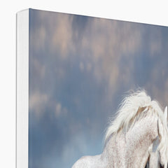 White ٴ & Black Horse Picture Canvas