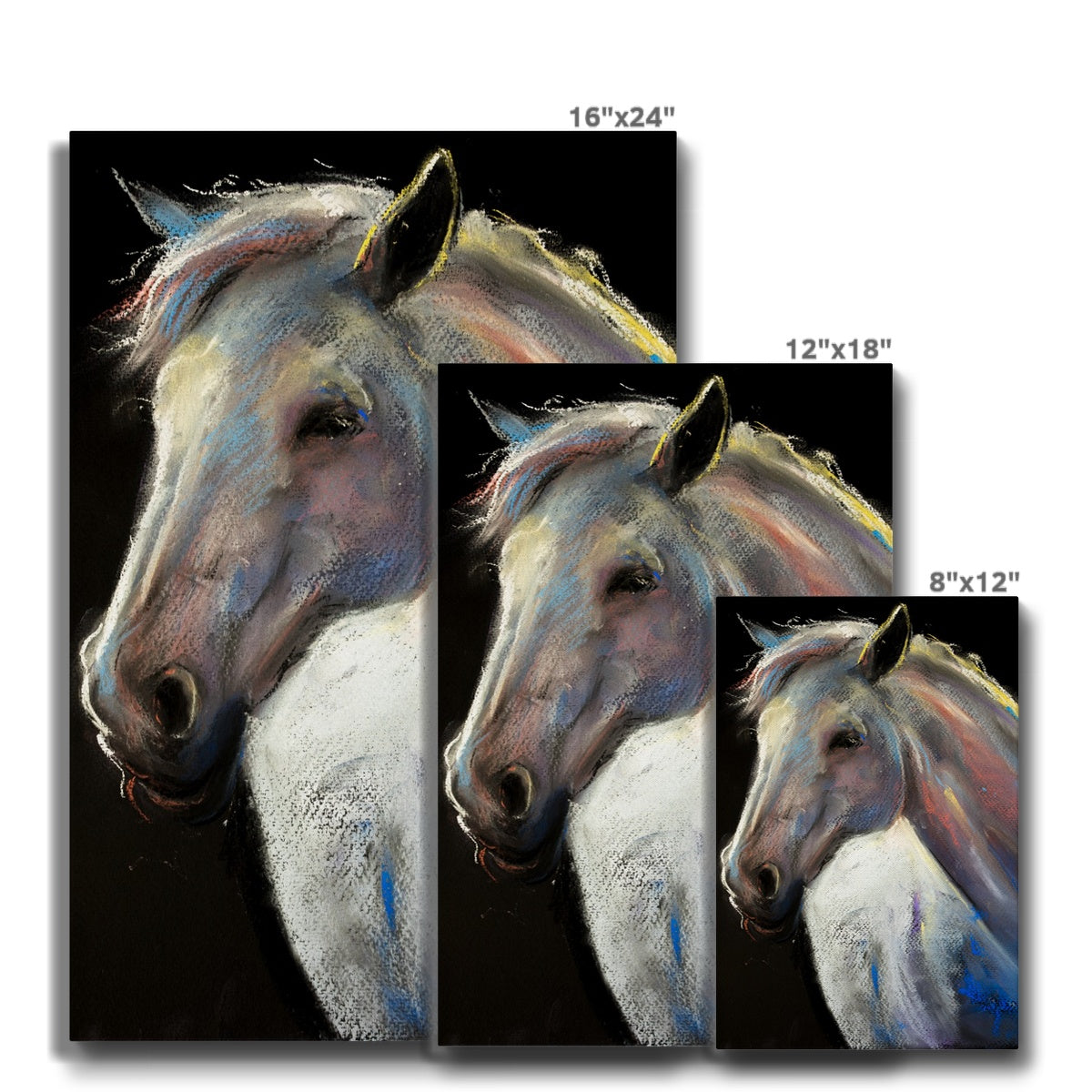 Magnificent Horse Portrait Canvas