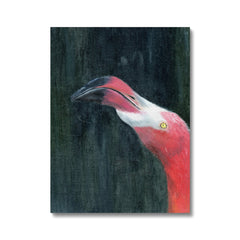 Flamingo's Impeccable Beak Canvas