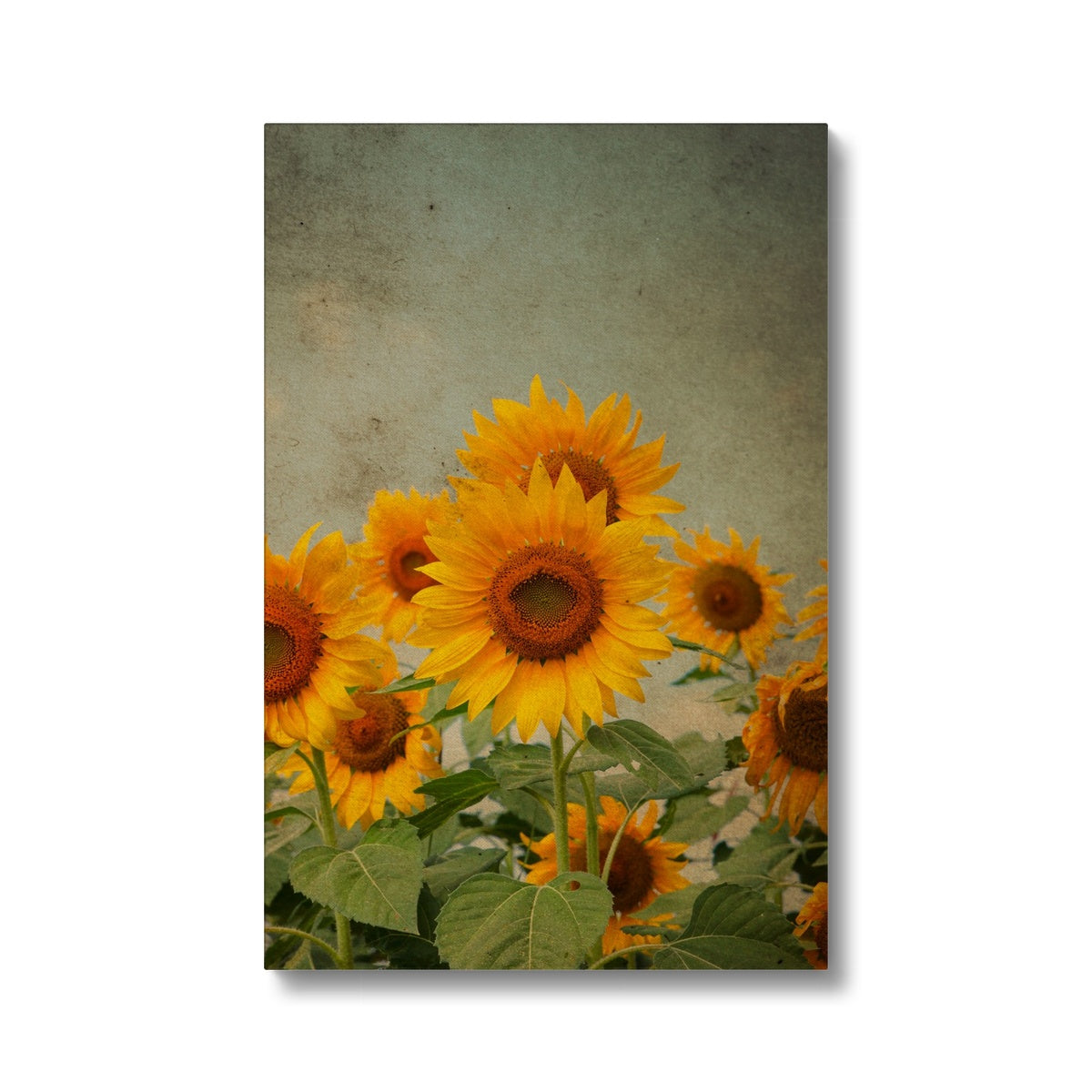 Abstract Sunflower Bunch Oil Painting Canvas