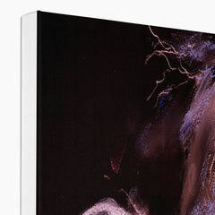 Amazing Pink Horse Portrait Canvas