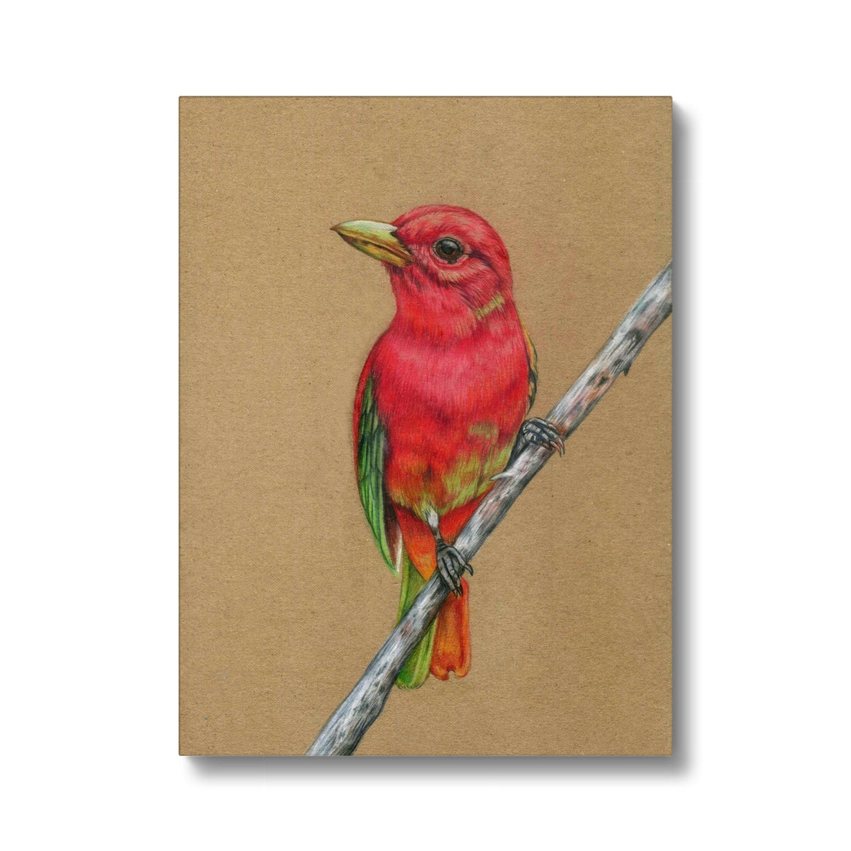 Amazing Pink Bird Canvas