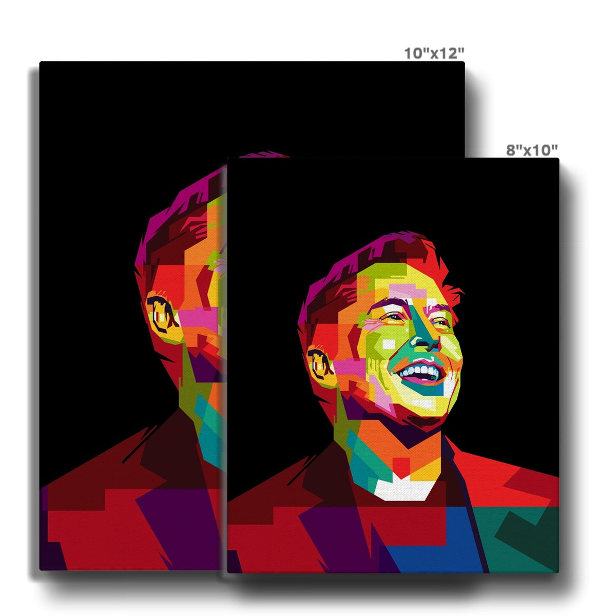 Elon Musk Multicolor Illustration Canvas